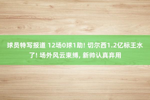 球员特写报道 12场0球1助! 切尔西1.2亿标王水了! 场外风云束缚, 新帅认真弃用