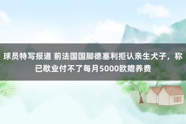 球员特写报道 前法国国脚德塞利拒认亲生犬子，称已歇业付不了每月5000欧赡养费