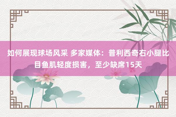 如何展现球场风采 多家媒体：普利西奇右小腿比目鱼肌轻度损害，至少缺席15天