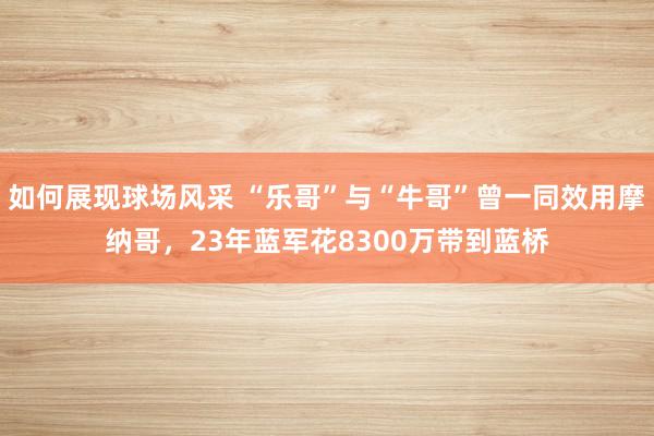 如何展现球场风采 “乐哥”与“牛哥”曾一同效用摩纳哥，23年蓝军花8300万带到蓝桥