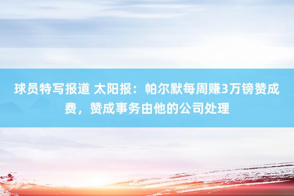 球员特写报道 太阳报：帕尔默每周赚3万镑赞成费，赞成事务由他的公司处理