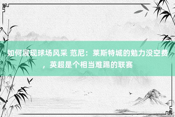 如何展现球场风采 范尼：莱斯特城的勉力没空费，英超是个相当难踢的联赛